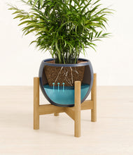 Load image into Gallery viewer, Deep Navy stand:bamboo
