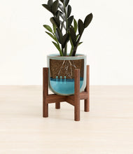 Load image into Gallery viewer, Reactive Aqua stand:walnut
