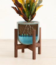 Load image into Gallery viewer, Reactive Aqua stand:walnut
