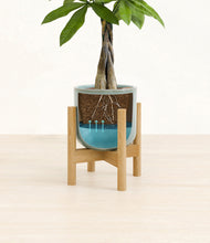 Load image into Gallery viewer, Reactive Aqua stand:bamboo
