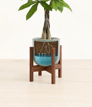 Load image into Gallery viewer, Reactive Aqua stand:walnut
