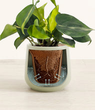 Load image into Gallery viewer, Turquoise stand:all
