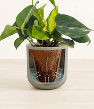Load image into Gallery viewer, Sage Green stand:all
