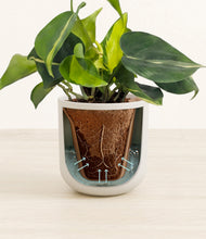 Load image into Gallery viewer, Natural Bamboo stand:all
