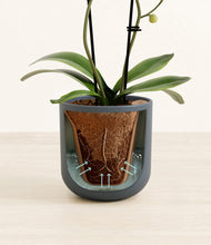 Load image into Gallery viewer, Iron Gray stand:all
