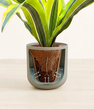 Load image into Gallery viewer, Sage Green stand:all
