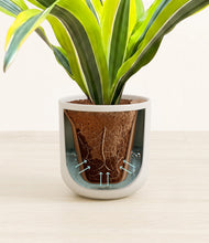 Load image into Gallery viewer, Natural Bamboo stand:all
