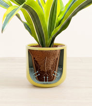 Load image into Gallery viewer, Key Lime Yellow stand:all

