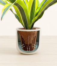Load image into Gallery viewer, Cotton White stand:all
