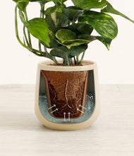 Load image into Gallery viewer, Almond Green stand:all

