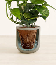 Load image into Gallery viewer, Sage Green stand:all
