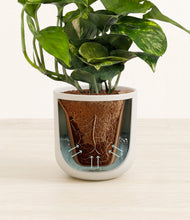 Load image into Gallery viewer, Natural Bamboo stand:all
