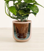 Load image into Gallery viewer, Sandy Pink stand:all
