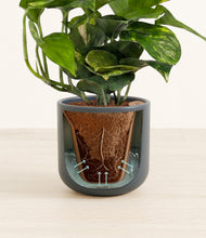 Load image into Gallery viewer, Iron Gray stand:all
