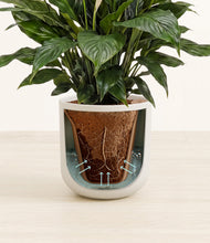 Load image into Gallery viewer, Natural Bamboo stand:all
