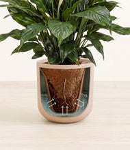Load image into Gallery viewer, Sandy Pink stand:all
