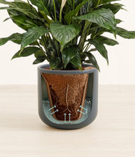 Load image into Gallery viewer, Iron Gray stand:all
