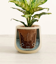 Load image into Gallery viewer, Almond Green stand:all
