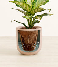 Load image into Gallery viewer, Sandy Pink stand:all
