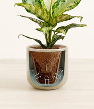 Load image into Gallery viewer, Sage Green stand:all

