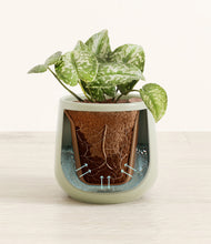 Load image into Gallery viewer, Turquoise stand:all

