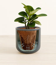 Load image into Gallery viewer, Iron Gray stand:all
