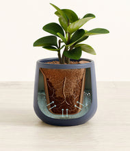 Load image into Gallery viewer, Deep Navy stand:all
