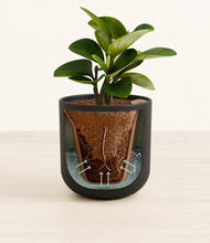 Load image into Gallery viewer, Stone Black stand:all
