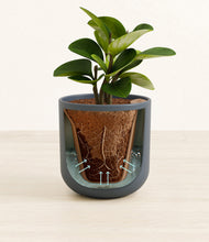 Load image into Gallery viewer, Iron Gray stand:all
