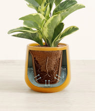 Load image into Gallery viewer, Mustard stand:all
