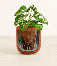 Load image into Gallery viewer, Earth Red stand:all
