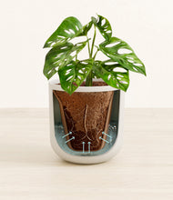 Load image into Gallery viewer, Natural Bamboo stand:all
