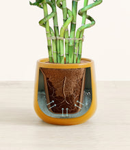 Load image into Gallery viewer, Mustard stand:all
