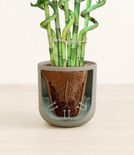 Load image into Gallery viewer, Sage Green stand:all
