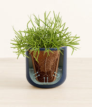 Load image into Gallery viewer, Iron Gray stand:all
