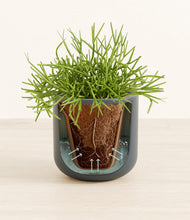 Load image into Gallery viewer, Iron Gray stand:all
