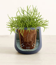 Load image into Gallery viewer, Deep Navy stand:all
