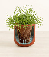 Load image into Gallery viewer, Earth Red stand:all
