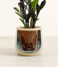 Load image into Gallery viewer, Almond Green stand:all

