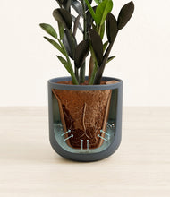 Load image into Gallery viewer, Iron Gray stand:all
