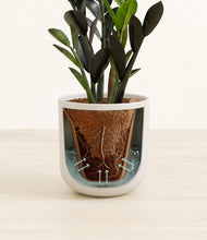 Load image into Gallery viewer, Natural Bamboo stand:all
