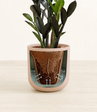 Load image into Gallery viewer, Sandy Pink stand:all

