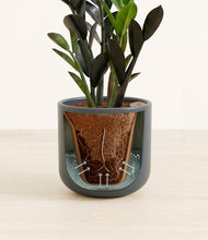 Load image into Gallery viewer, Iron Gray stand:all

