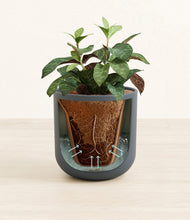 Load image into Gallery viewer, Iron Gray stand:all
