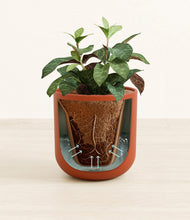 Load image into Gallery viewer, Earth Red stand:all
