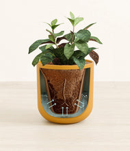 Load image into Gallery viewer, Sunset Orange stand:all
