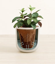 Load image into Gallery viewer, Natural Bamboo stand:all
