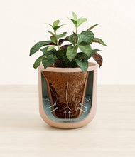 Load image into Gallery viewer, Sandy Pink stand:all
