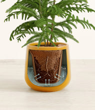 Load image into Gallery viewer, Mustard stand:all
