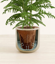 Load image into Gallery viewer, Sage Green stand:all
